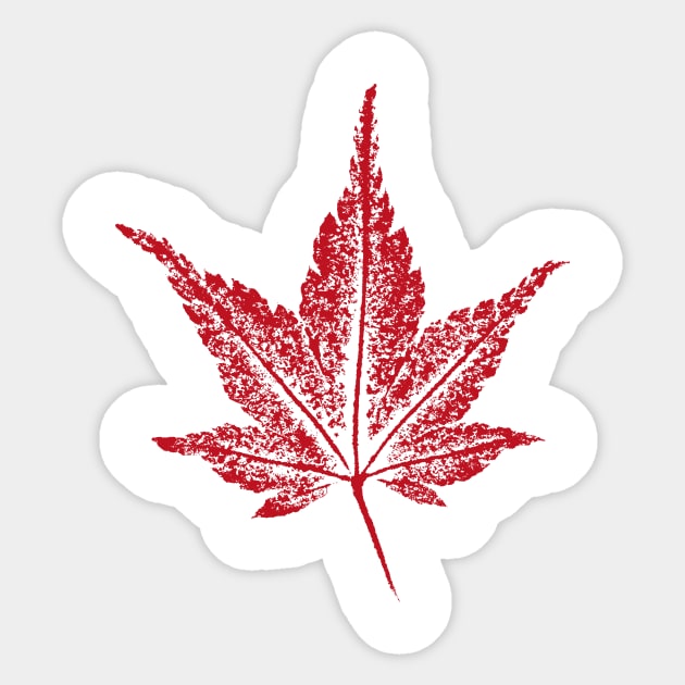 Japanese Maple Leaf (Acer palmatum) Sticker by Nikokosmos